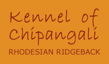 Kennel of Chipangali Rhodesian Ridgeback Hundezüchter in Rauris